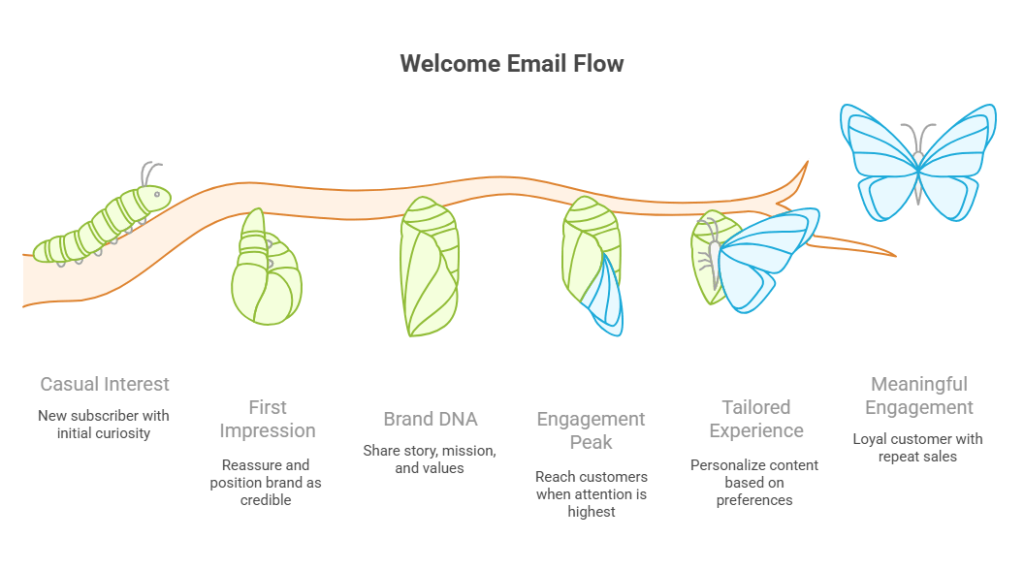 Welcome series emails for ecommerce brands – visual lifecycle of a butterfly representing welcome email flow stages: casual interest, first impression, brand DNA, engagement peak, tailored experience, and meaningful engagement with loyal customers.